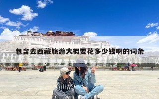 包含去西藏旅游大概要花多少钱啊的词条
