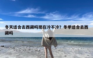 冬天适合去西藏吗现在冷不冷？冬季适合去西藏吗