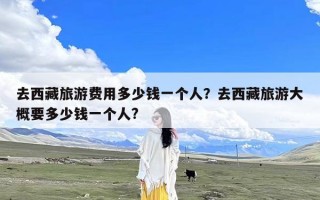 去西藏旅游费用多少钱一个人？去西藏旅游大概要多少钱一个人?