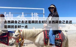去西藏自己去还是跟团去好？去西藏自己去还是跟团去好一点