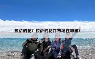 拉萨的花？拉萨的花卉市场在哪里?