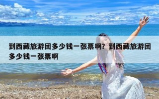 到西藏旅游团多少钱一张票啊？到西藏旅游团多少钱一张票啊