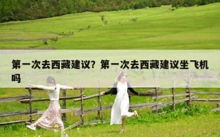 第一次去西藏建议？第一次去西藏建议坐飞机吗