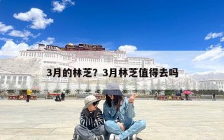 3月的林芝？3月林芝值得去吗