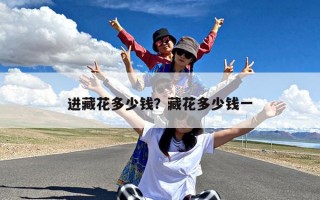 进藏花多少钱？藏花多少钱一