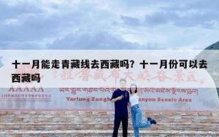 十一月能走青藏线去西藏吗？十一月份可以去西藏吗
