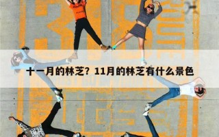 十一月的林芝？11月的林芝有什么景色