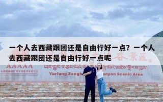 一个人去西藏跟团还是自由行好一点？一个人去西藏跟团还是自由行好一点呢
