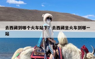 去西藏到哪个火车站下？去西藏坐火车到哪一站