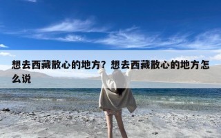 想去西藏散心的地方？想去西藏散心的地方怎么说