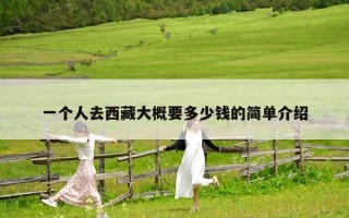 一个人去西藏大概要多少钱的简单介绍