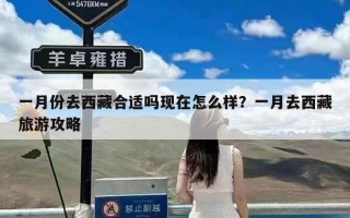 一月份去西藏合适吗现在怎么样？一月去西藏旅游攻略