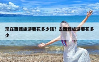 现在西藏旅游要花多少钱？去西藏旅游要花多少