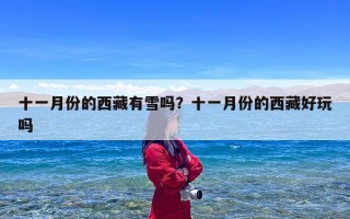 十一月份的西藏有雪吗？十一月份的西藏好玩吗