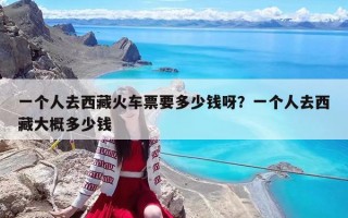 一个人去西藏火车票要多少钱呀？一个人去西藏大概多少钱
