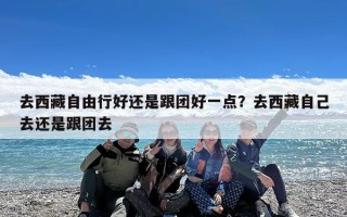 去西藏自由行好还是跟团好一点？去西藏自己去还是跟团去
