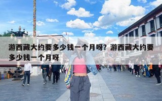 游西藏大约要多少钱一个月呀？游西藏大约要多少钱一个月呀