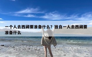 一个人去西藏要准备什么？独自一人去西藏要准备什么