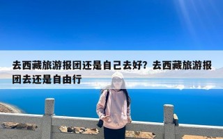 去西藏旅游报团还是自己去好？去西藏旅游报团去还是自由行