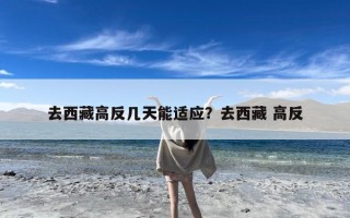 去西藏高反几天能适应？去西藏 高反