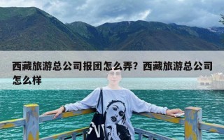 西藏旅游总公司报团怎么弄？西藏旅游总公司怎么样