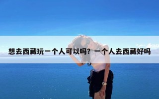 想去西藏玩一个人可以吗？一个人去西藏好吗