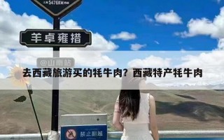 去西藏旅游买的牦牛肉？西藏特产牦牛肉