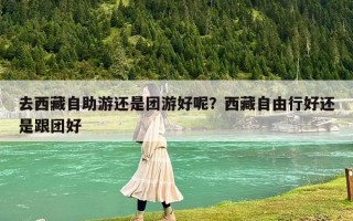 去西藏自助游还是团游好呢？西藏自由行好还是跟团好