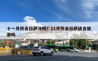 十一月份去拉萨冷吗？11月份去拉萨适合旅游吗