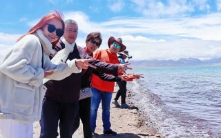 和爸妈去西藏要准备多少钱？西藏旅游七日游的报价？