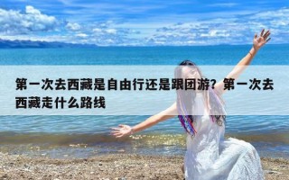 第一次去西藏是自由行还是跟团游？第一次去西藏走什么路线