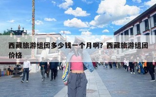 西藏旅游组团多少钱一个月啊？西藏旅游组团价格