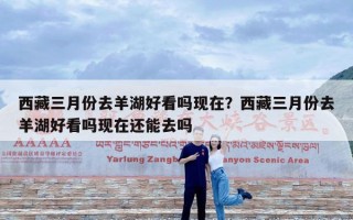 西藏三月份去羊湖好看吗现在？西藏三月份去羊湖好看吗现在还能去吗