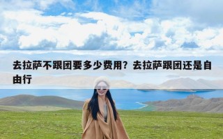 去拉萨不跟团要多少费用？去拉萨跟团还是自由行