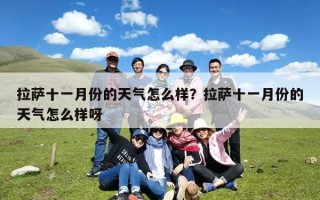拉萨十一月份的天气怎么样？拉萨十一月份的天气怎么样呀