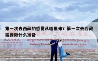 第一次去西藏的感觉从哪里来？第一次去西藏需要做什么准备
