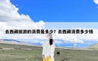 去西藏旅游的消费是多少？去西藏消费多少钱