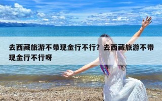 去西藏旅游不带现金行不行？去西藏旅游不带现金行不行呀