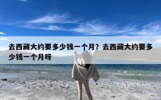 去西藏大约要多少钱一个月？去西藏大约要多少钱一个月呀