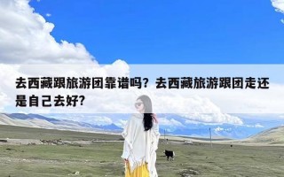 去西藏跟旅游团靠谱吗？去西藏旅游跟团走还是自己去好?