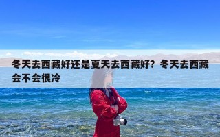 冬天去西藏好还是夏天去西藏好？冬天去西藏会不会很冷