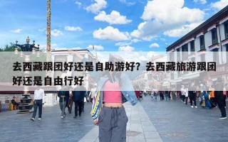 去西藏跟团好还是自助游好？去西藏旅游跟团好还是自由行好