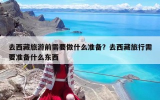 去西藏旅游前需要做什么准备？去西藏旅行需要准备什么东西