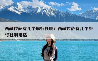西藏拉萨有几个旅行社啊？西藏拉萨有几个旅行社啊电话