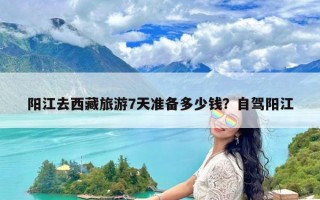 阳江去西藏旅游7天准备多少钱？自驾阳江