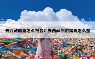 去西藏旅游怎么报名？去西藏旅游需要怎么整