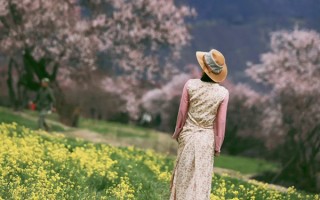 林芝桃花什么时候最美最值得看？林芝桃花开得最美是什么时候？