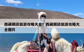西藏跟团旅游攻略大全？西藏跟团旅游攻略大全图片