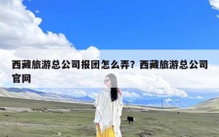 西藏旅游总公司报团怎么弄？西藏旅游总公司官网
