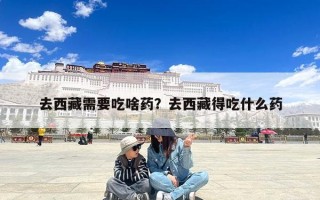 去西藏需要吃啥药？去西藏得吃什么药
